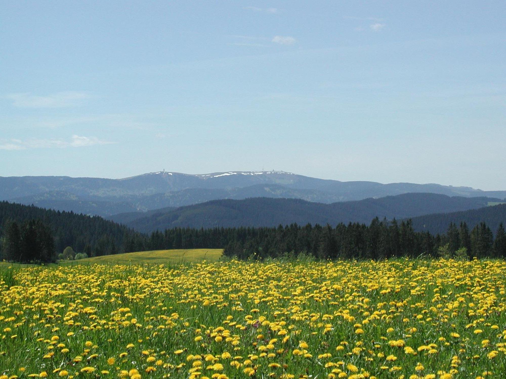 Cafe-Pension Feldbergblick Titisee-Neustadt Dış mekan fotoğraf