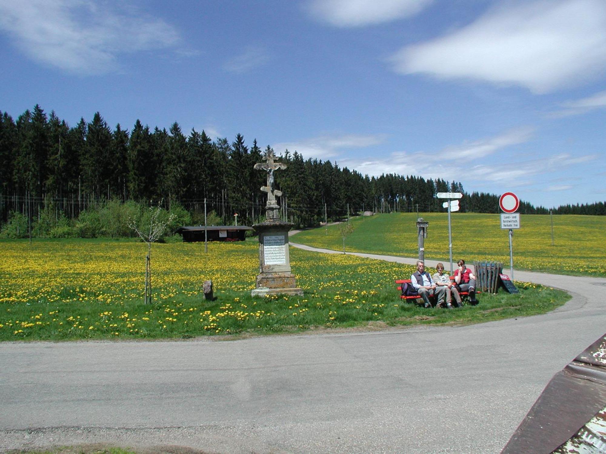 Cafe-Pension Feldbergblick Titisee-Neustadt Dış mekan fotoğraf